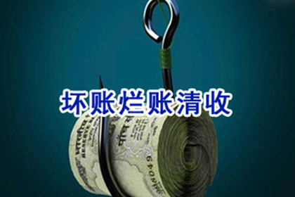 债务追偿强制执行申请流程